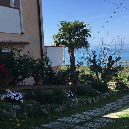 Colle Degli Ulivi *